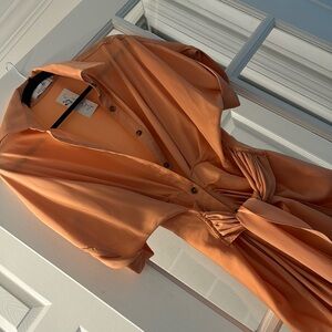 New NeverWorn Apricot shirt dress